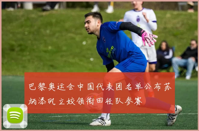 巴黎奥运会中国代表团名单公布苏炳添巩立姣领衔田径队参赛